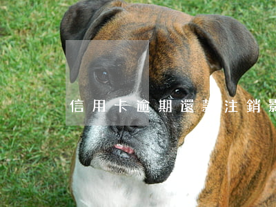 信用卡逾期還款注銷影響如何？